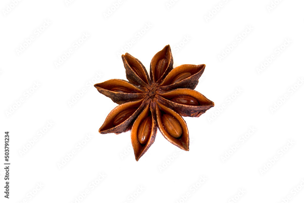 a single star anise isolated on white background, Star aniseed or Chinese star anise seed a single star anise isolated on white background, Star aniseed or Chinese star anise seed