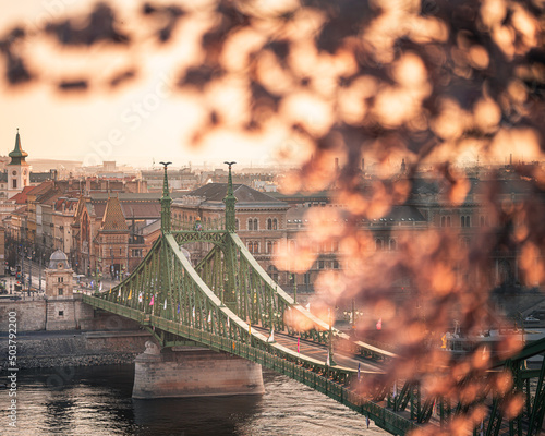 Beautiful Liberty Bridge wi...