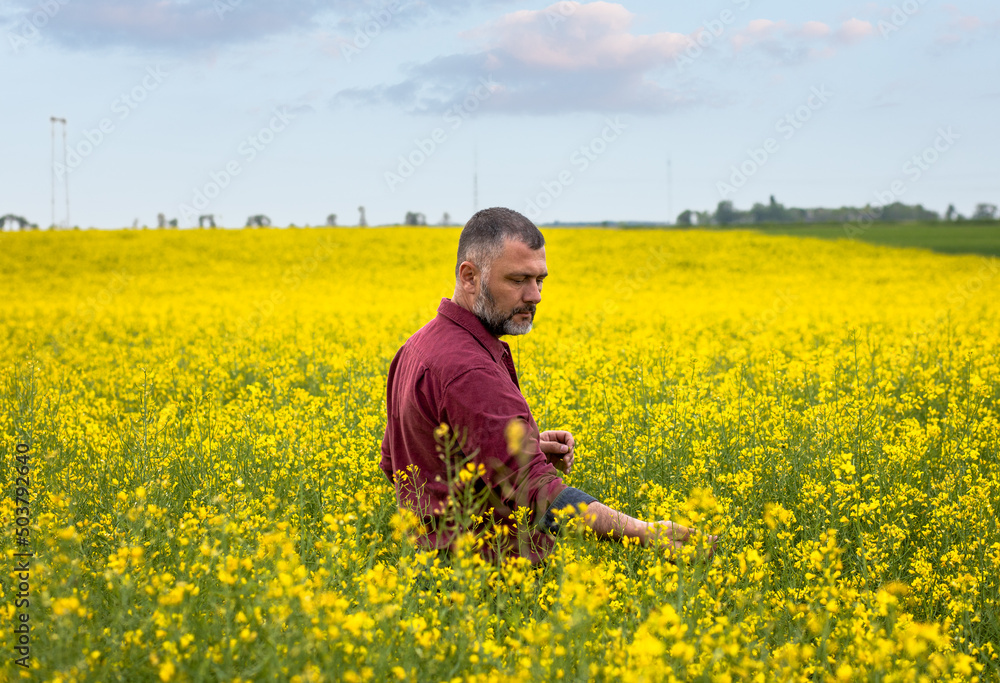 Middle age farmer standing in rapeseed field examining crop.