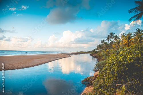 Brazilian beach paradise bahia nature