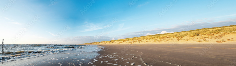 Sand dune with wild grass and beach in Noordwijk on the North Sea in Holland Netherlands - Panorama sea landscape with blue sky and clouds Sand dune with wild grass and beach in Noordwijk on the North Sea in Holland Netherlands - Panorama sea landscape with blue sky and clouds