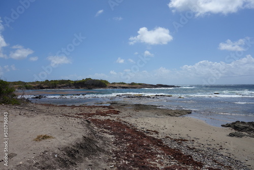 ile de la Martinique, savane des pétrifications 