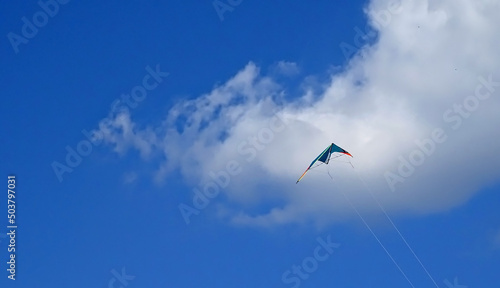 Kite on the sky background