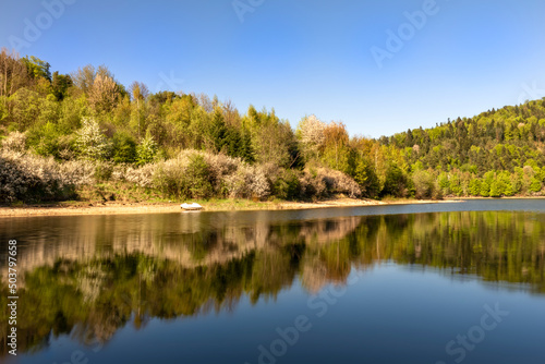 lake in the forest