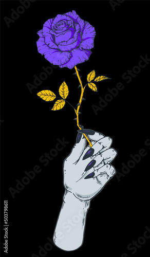 The witch's hand holds a rose. Hand drawn vector illustration. Mystic and occult hand. Mystical print. T-shirt design.