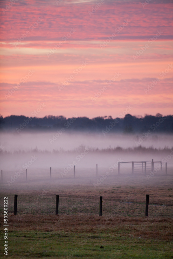 Beautiful Colorful Foggy Sunrise Agricultural Farm Landscape with Fencing and Empty Pasture