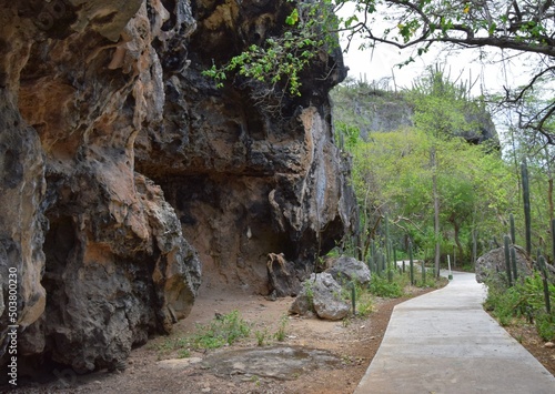 Paved pathway through the Indian Trail walk nature park at the Hato Caves in Curacao, tropical landscape with coral limestone rock formation 