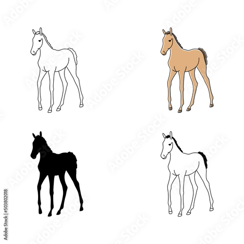 Warmblood foals isolated on white background. Flat cartoon vector illustration.