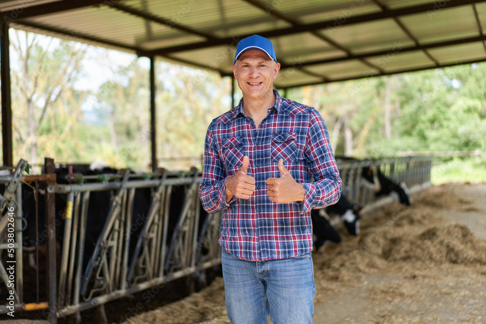 Fototapeta premium Man cowboy at cow farm ranch