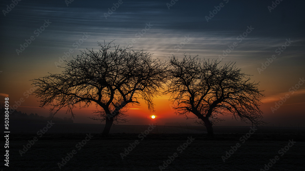 Naklejka premium sunset