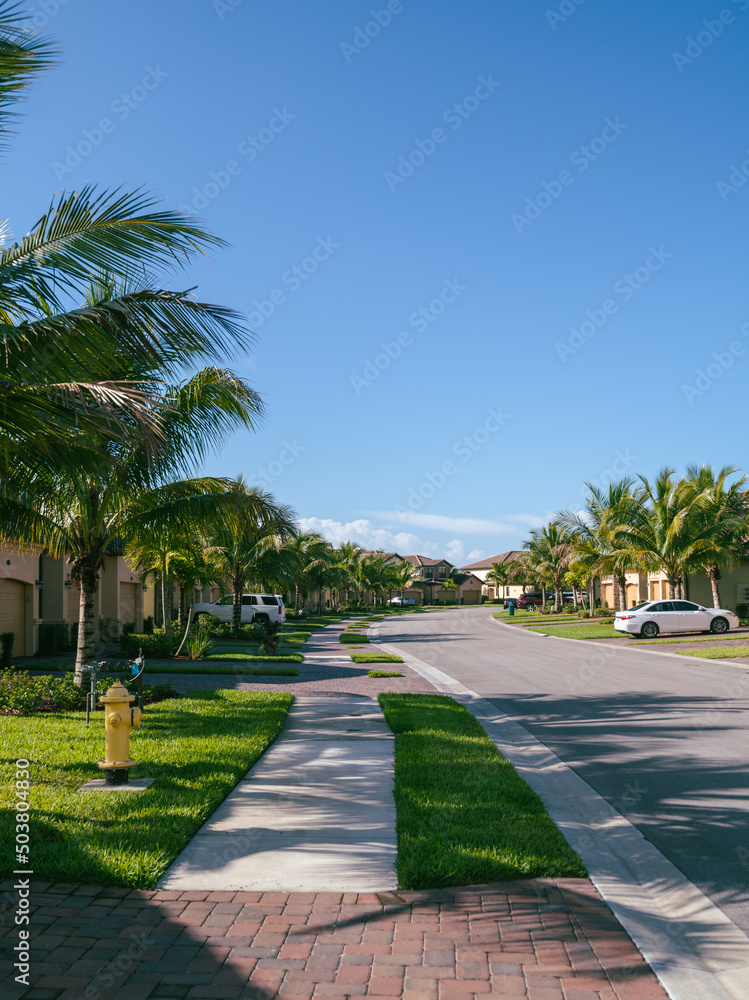 Vertical South Florida real estate background in golf community.