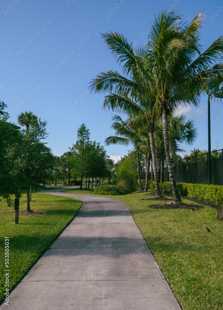 Vertical South Florida real estate background in golf community.