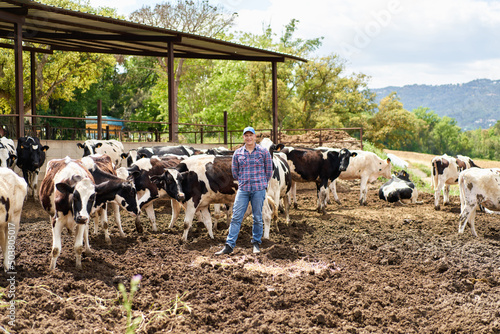 Man cowboy at cow farm ranch