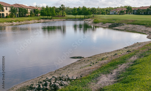 Alligator near the edge of the shore in a golf course pond, Bonita Springs, Florida.