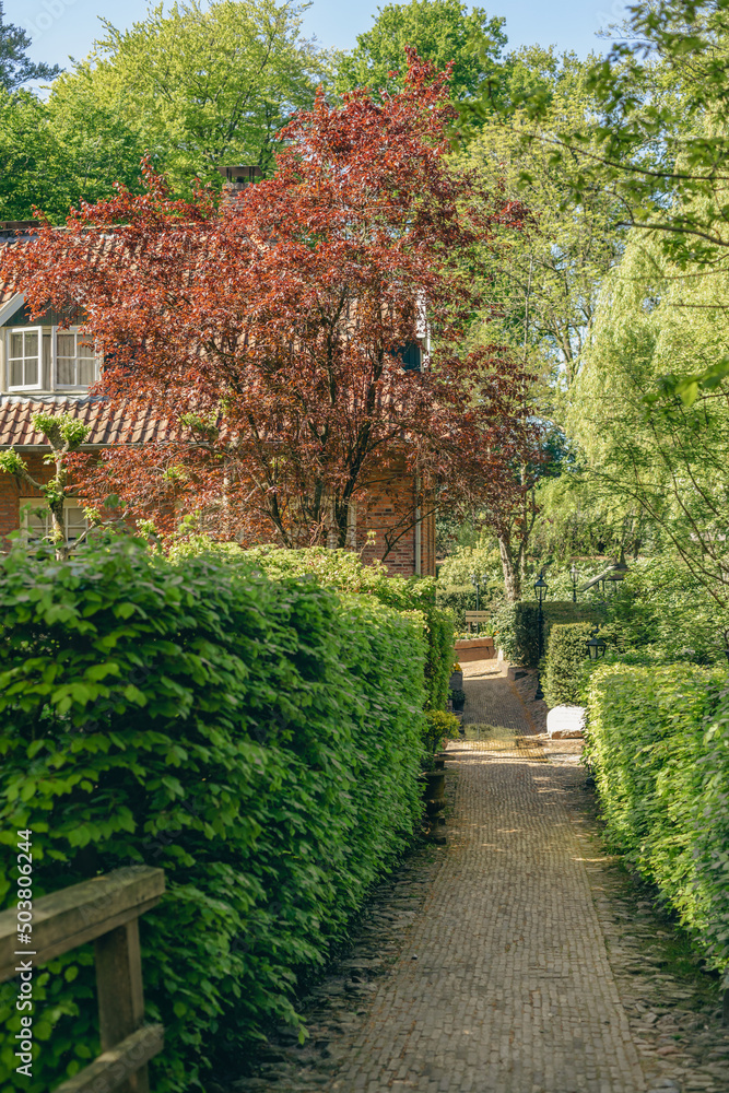 Obraz premium Path leading up to a house, garden with beautiful shrubs and trees