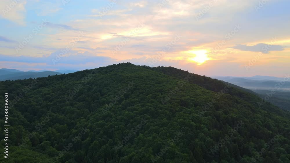 Aerial view of green pine forest with dark spruce trees covering mountain hills at sunset. Nothern woodland scenery from above Aerial view of green pine forest with dark spruce trees covering mountain hills at sunset. Nothern woodland scenery from above