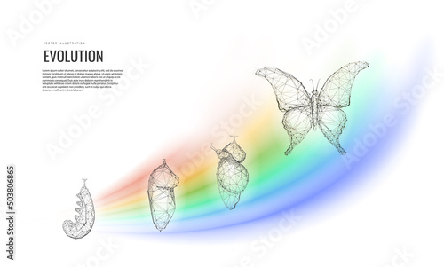 Metamorphosis of transformation or evolution. The birth of a butterfly from a caterpillar the cycle of life. Vector illustration