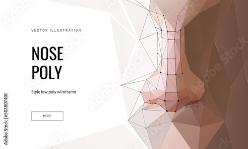 Fototapeta Naklejka Na Ścianę i Meble -  Anatomy of the nose in wireframe polygonal style. Geometric illustration for landing page or banner. Modeling or building parts of the face