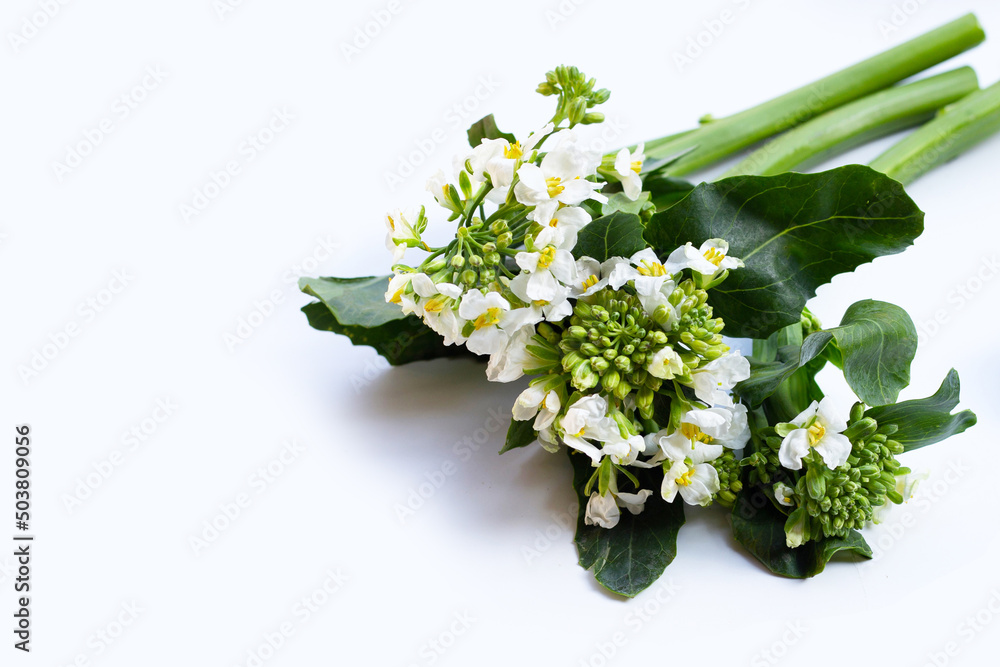 Green baby broccoli with chinese kale flower on white background.