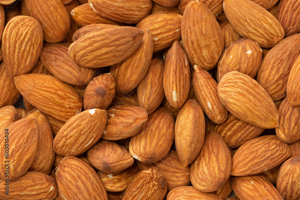 Large Handful of Shelled Almonds, Packed in Many, Beautiful Colors and Textures Large Handful of Shelled Almonds, Packed in Many, Beautiful Colors and Textures