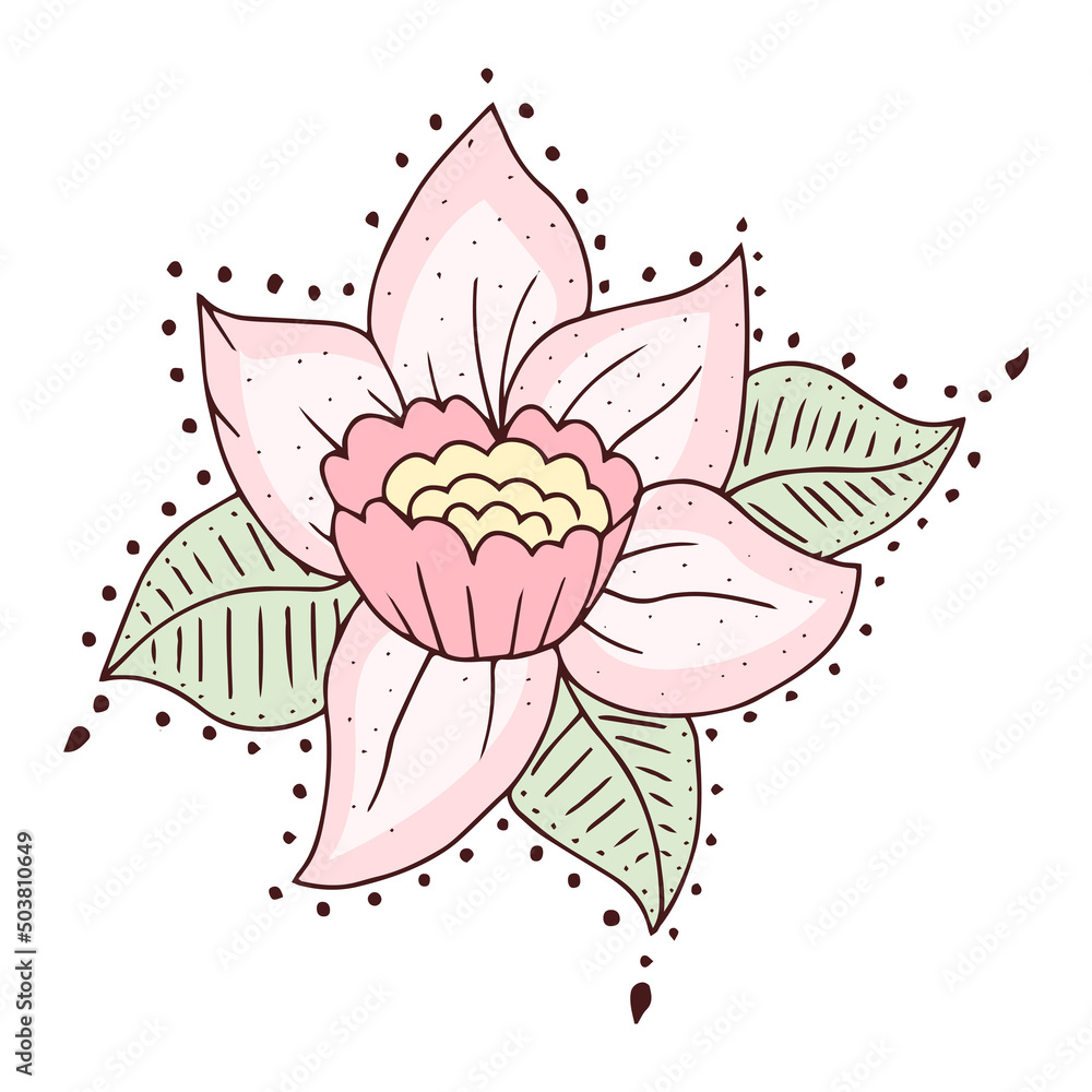 Isolated sketch of a flower Spring time Vector illustration Isolated sketch of a flower Spring time Vector illustration