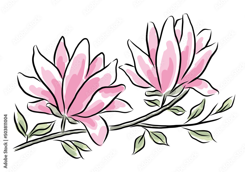 Magnolia branch with flowers and leaves