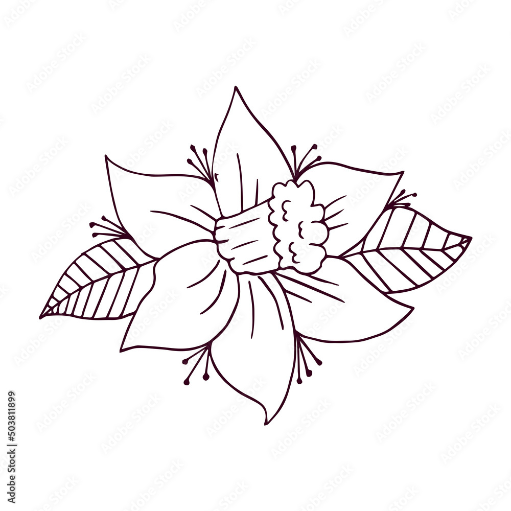 Isolated outline of a cute flower Flat design Vector illustration Isolated outline of a cute flower Flat design Vector illustration