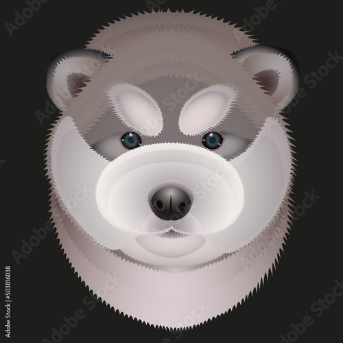 Vector illustration of puppy malamute dog head on a black background