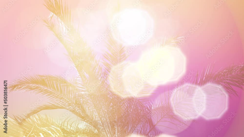 Palm Tree In Light Neon Abstract Backgrounds Glowing neon lines spectrum, shapes spinning around, looped animation Palm Tree In Light Neon Abstract Backgrounds Glowing neon lines spectrum, shapes spinning around, looped animation