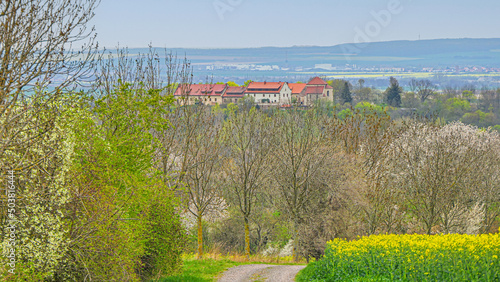Konradsburg Sachsen Anhalt