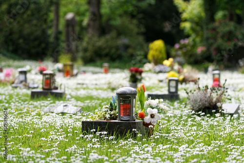 Fotografie small urn graves with lanterns in a spring meadow covered with daisies
