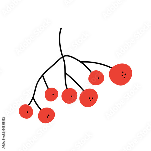 Rowanberry. Hand drawn sketch icon of twig with berries. Isolated vector illustration in doodle line style.