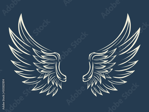 dove with wings