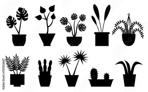 Cactus, sansevieria, monstera, fern, hanging flower. Houseplants in black silhouette flower pot set. Urban jungle decor. For interior, botany, house decoration, web and app design. Vector illustration