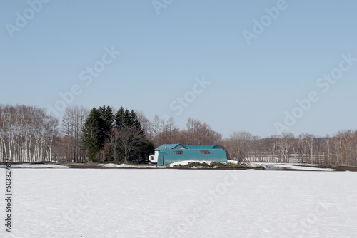 Wallpaper Mural 農家 Torontodigital.ca