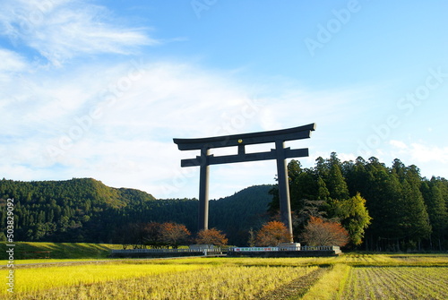 和歌山県　本宮町　大鳥居　旧社地　おおゆのはら　田辺市　熊野本宮大社