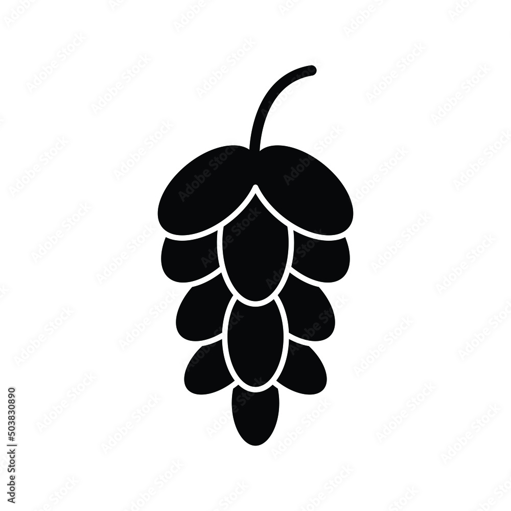 Hop flower icon design isolated on white background Hop flower icon design isolated on white background