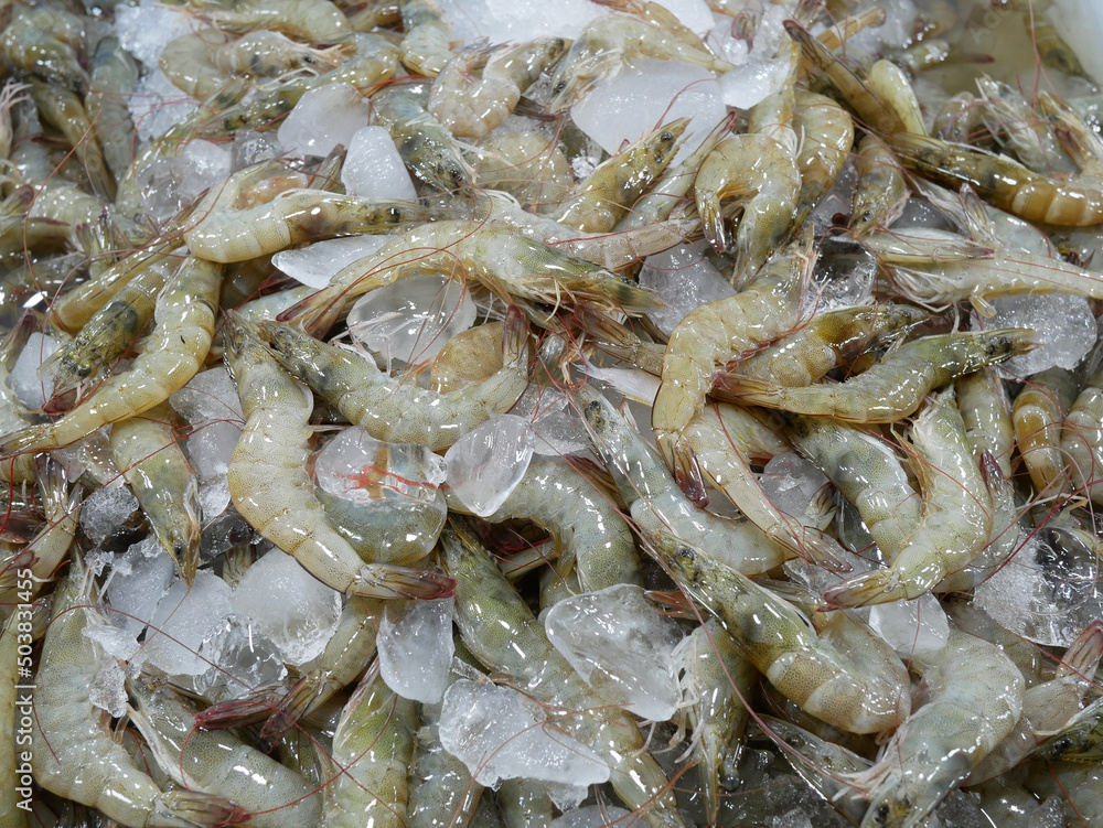 raw shrimp on ice for sale at supermarket. raw shrimp on ice for sale at supermarket.