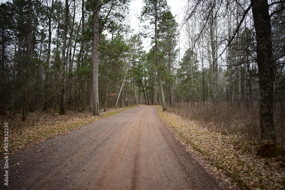 St. Croix State Park , Minnesota