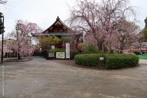 Kiyomizukannonndo Hall in the precincts of Kanei-ji Temple at Ueno-koen Park at Ueno in Tokyo in Japan 日本の東京の上野にある寛永寺境内の清水観音堂