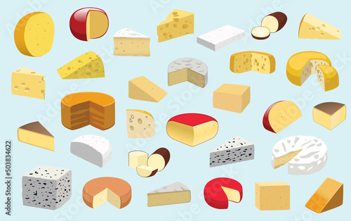 Food Cheese Various Type Set Vector Illustration