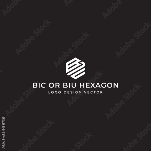 BIC OR BIU HEXAGON LOGO DESIGN VECTOR