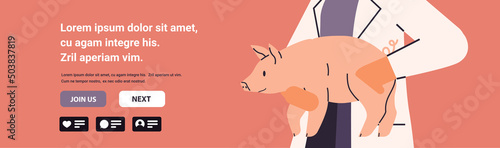 scientist doing experiments in lab with animal veterinary worker with experimental pig biological genetic engineering