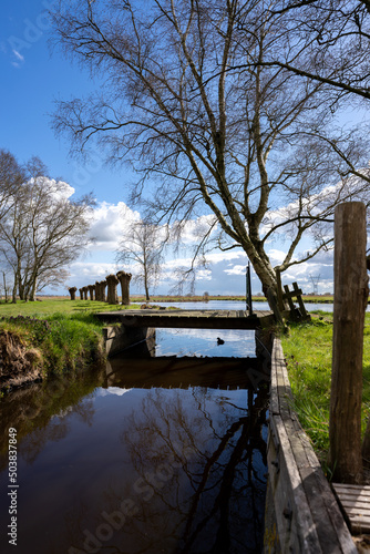 Fototapeta Naklejka Na Ścianę i Meble -  Countryside bridge over a canal with a bird swiming under in Netherlands