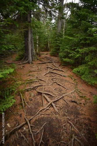 Cascade River State Park