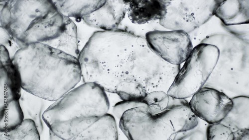 Salt Crystals Sodium polymer ion particles reaction to water under a microscope 3 shots