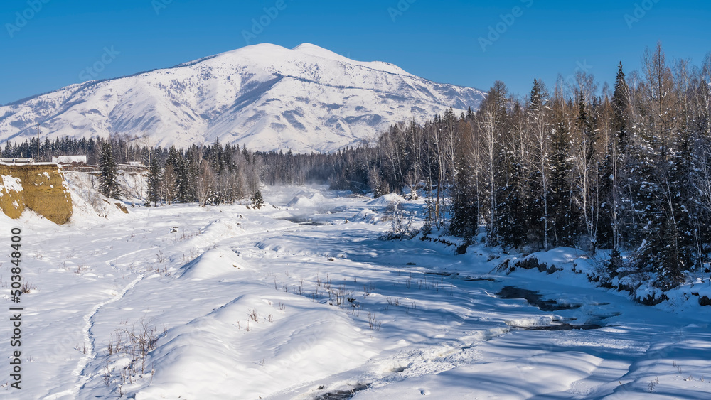 The bed of the frozen river is covered with snowdrifts. The forest grows on the banks. A picturesque mountain against the blue sky. Altai