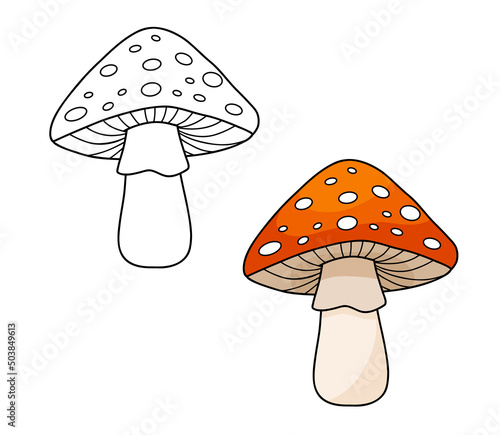 Fly agaric with red cap mushroom and white dots. Line and cartoon vector illustration for kids coloring page and book. Inedible mushroom isolated on white background