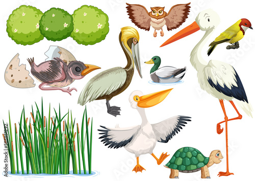 Different kinds of wild animals collection