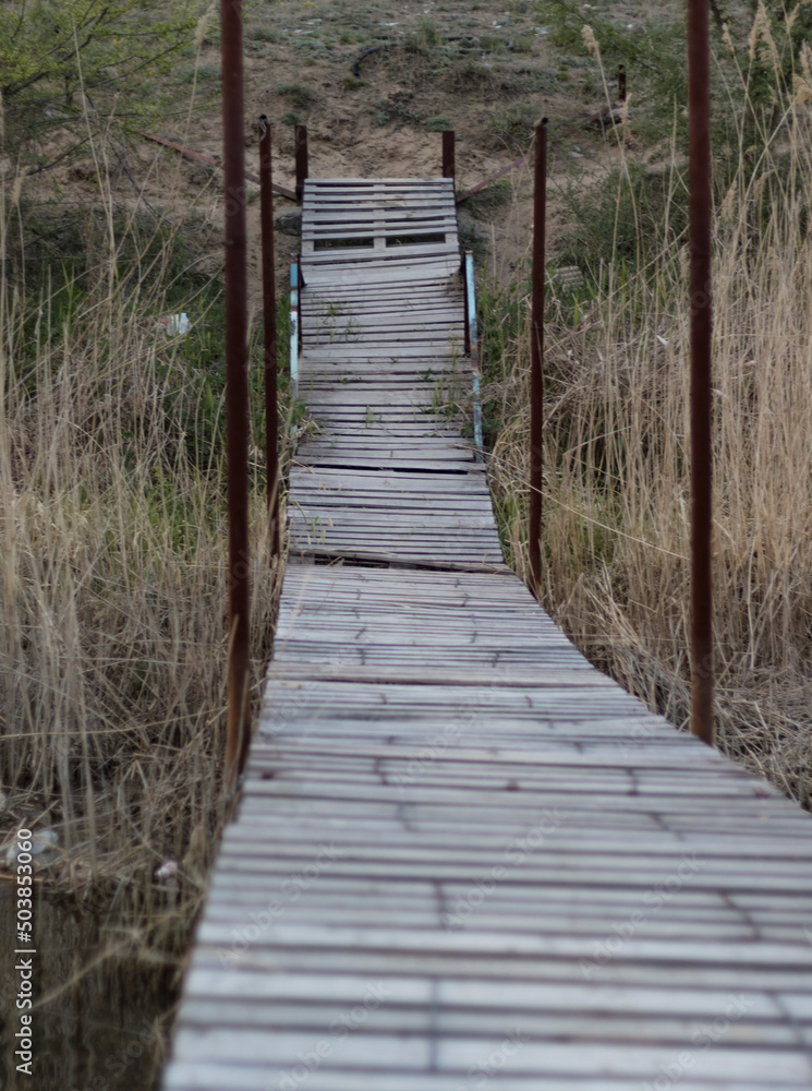wooden bridge from the shore to the water